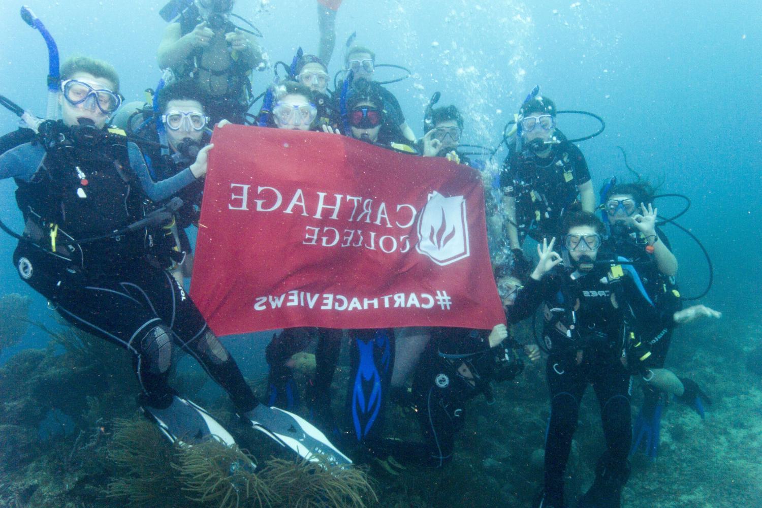 学生们手持<a href='http://glay.ngskmc-eis.net'>博彩网址大全</a>旗帜，在j学期洪都拉斯游学之旅中潜水.